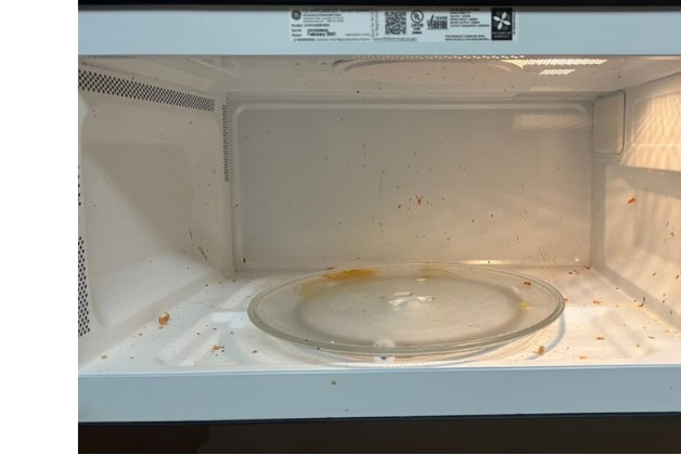 Microwave Interior before