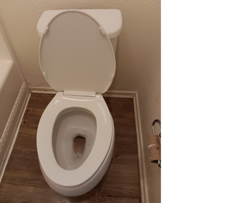 Toilet Sanitization after