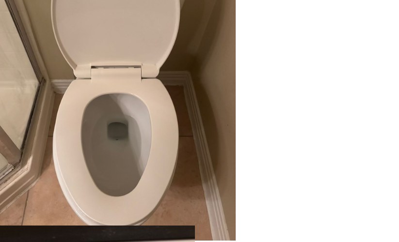 Toilet Sanitization after