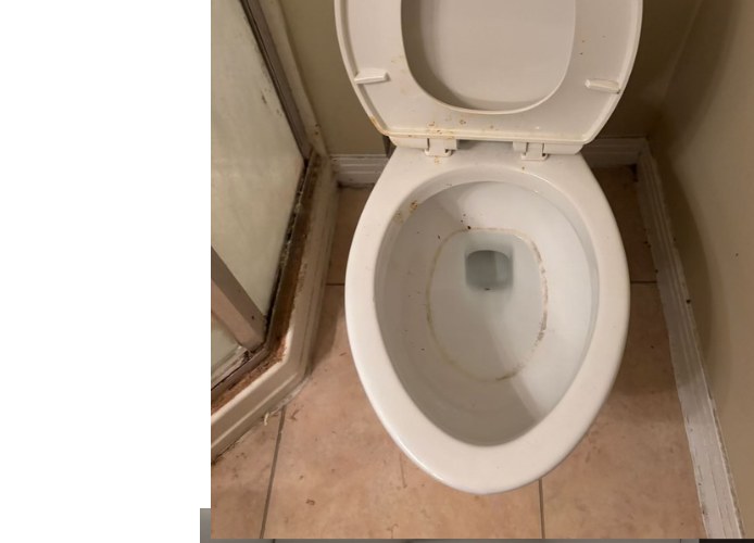 Toilet Sanitization before