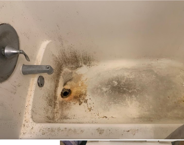 Bathtub Deep Clean before